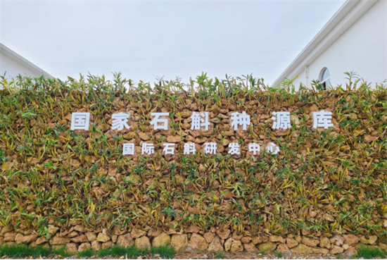 成都将建世界最大石斛种源库 打造“双熊猫”城市名片