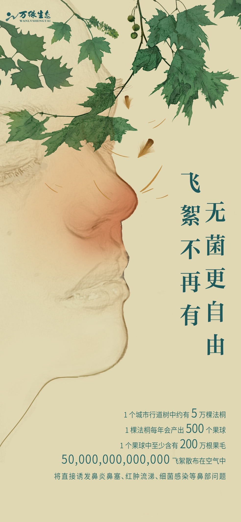 万绿生态少球无球法桐，致敬城市绿色生活