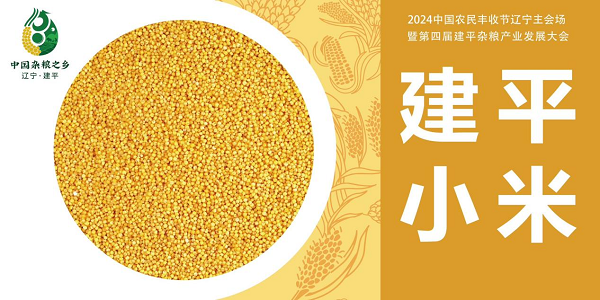  建平杂粮，从田间到舌尖的美味臻选